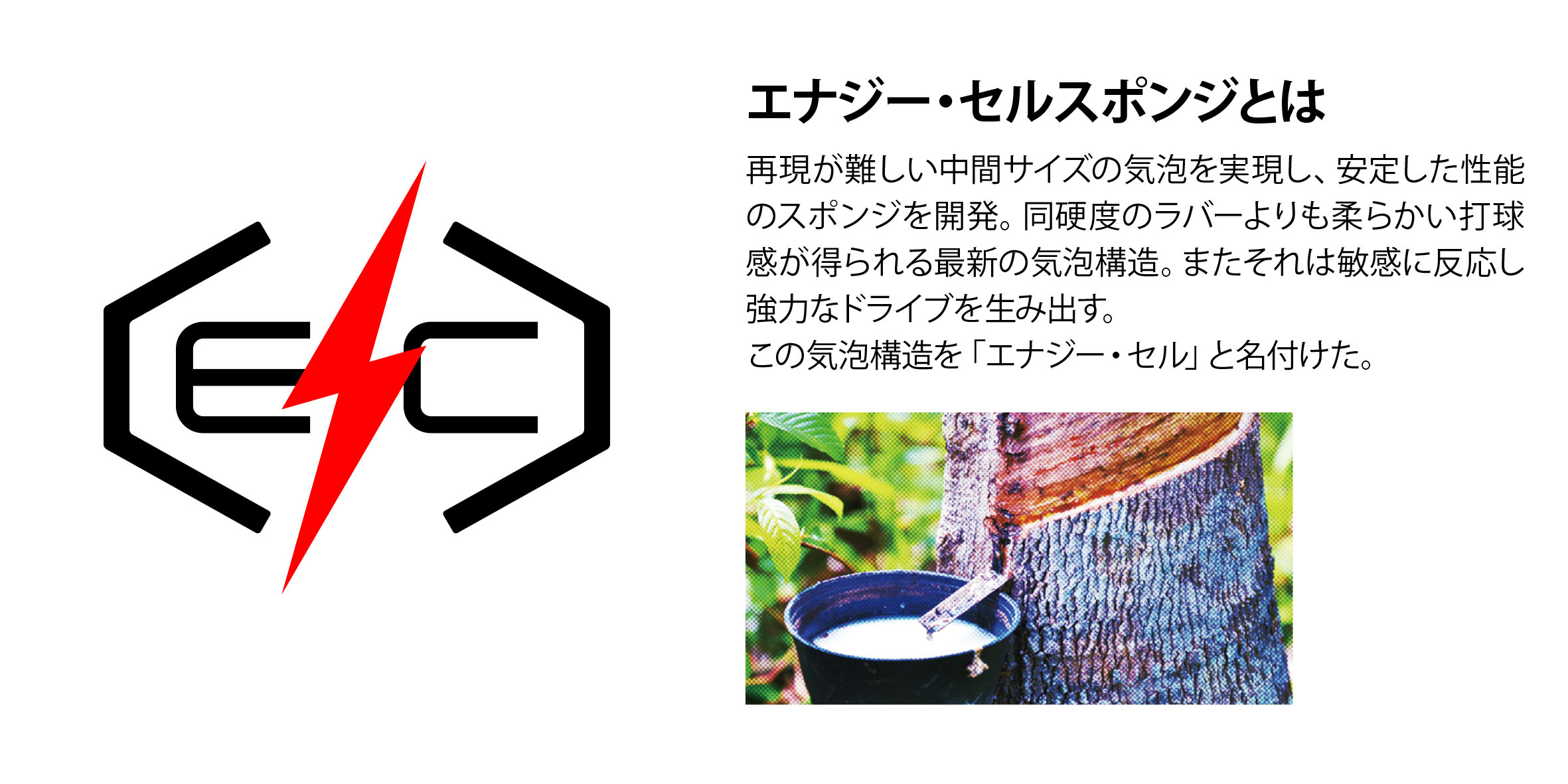 energy_cell_sponge_5_JP